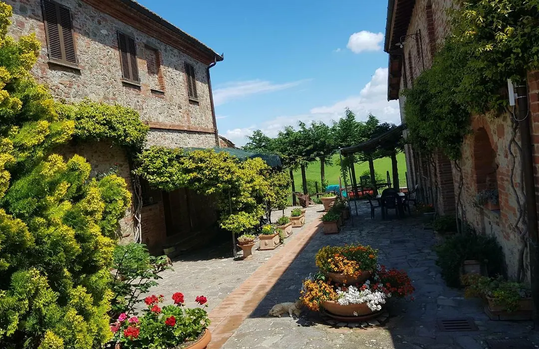 Agriturismo Cetine Vecchie-1